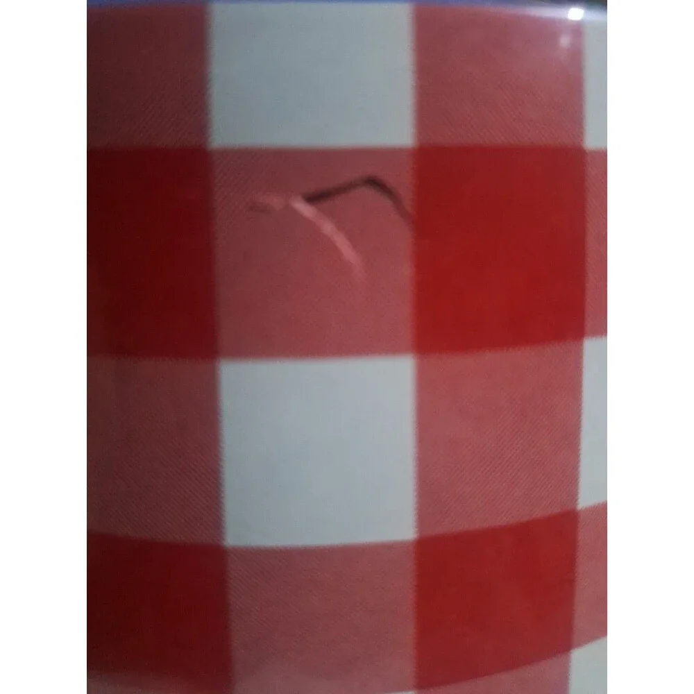 Pioneer Woman Large Pet Bowl Melamine Red Check USED W/ Small Crack